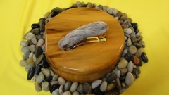3-DSC02597