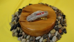 5-DSC02599