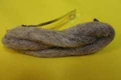 2-DSC02484-2