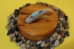 6-DSC02600